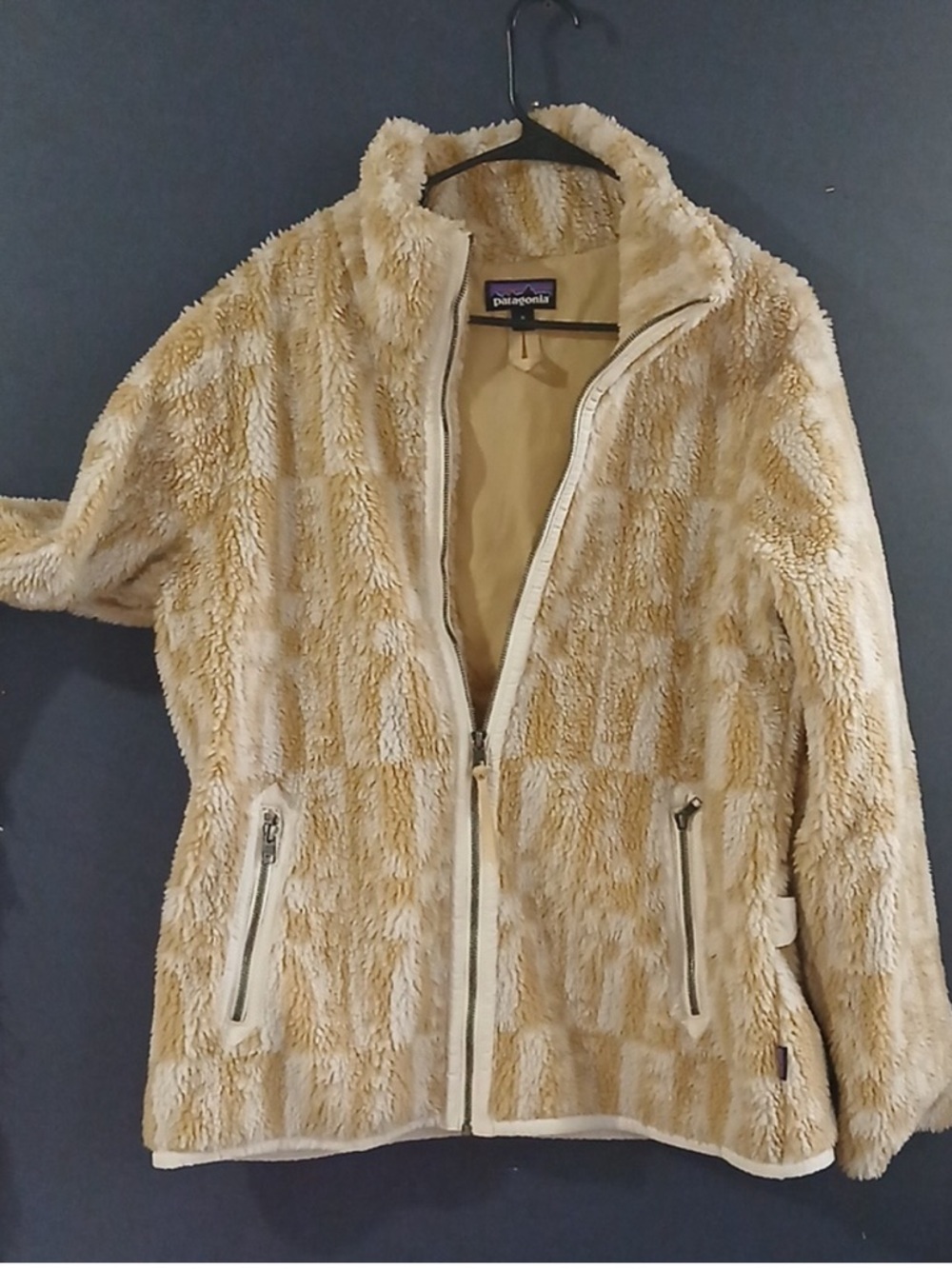 Patagonia Beige Cream Teddy Jacket